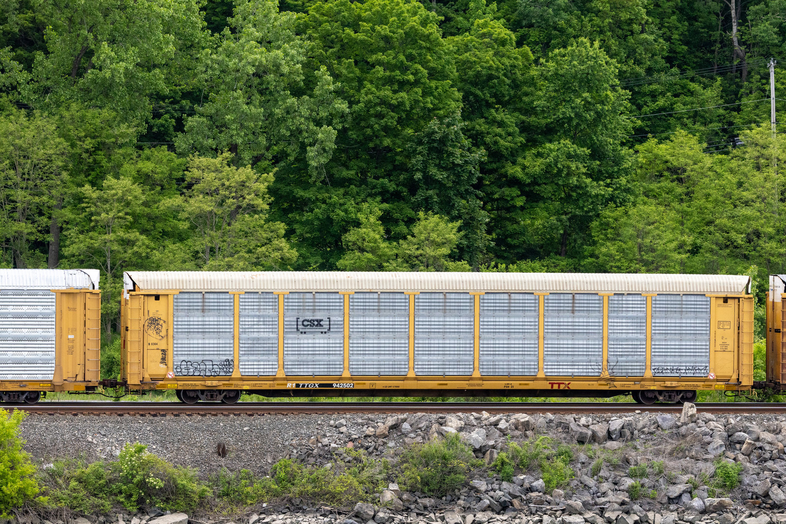 TTGX 942502