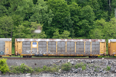 TTGX 964005