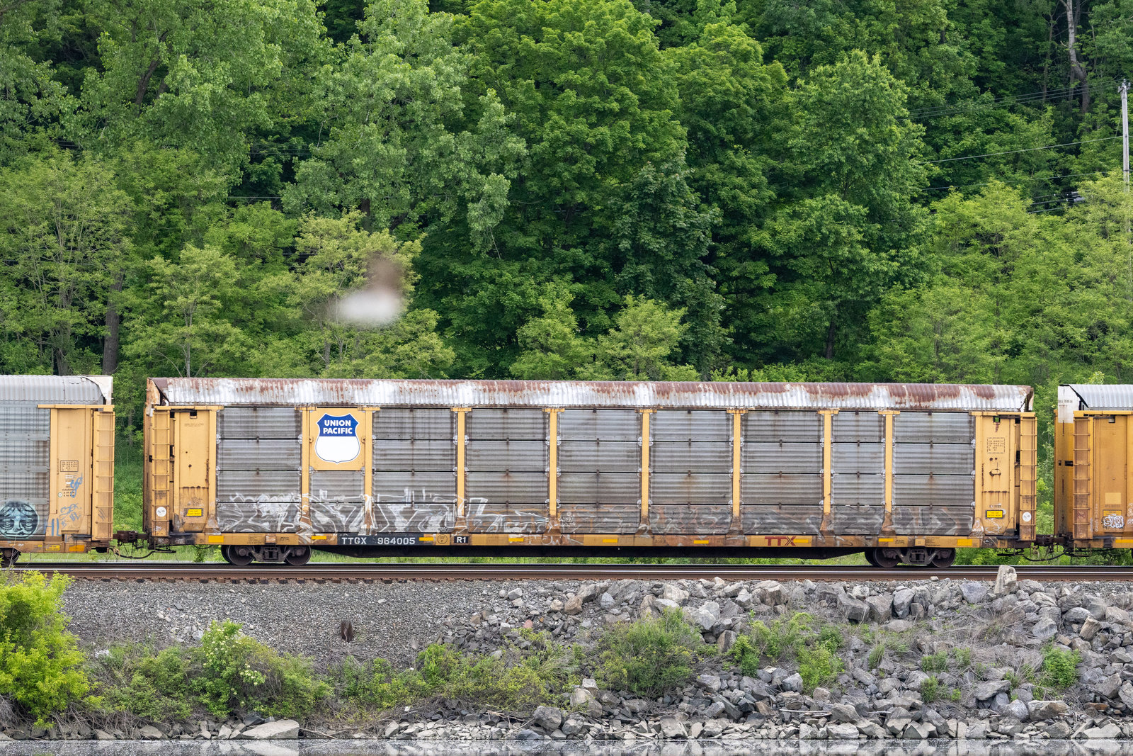 TTGX 964005