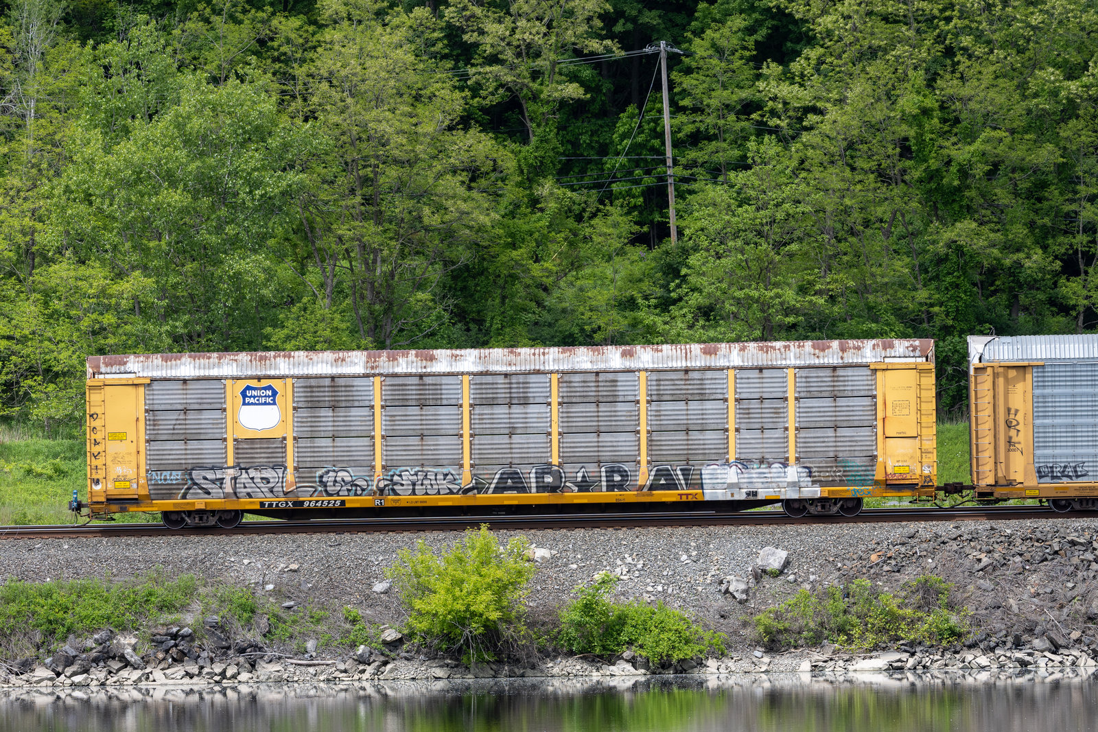 TTGX 964525