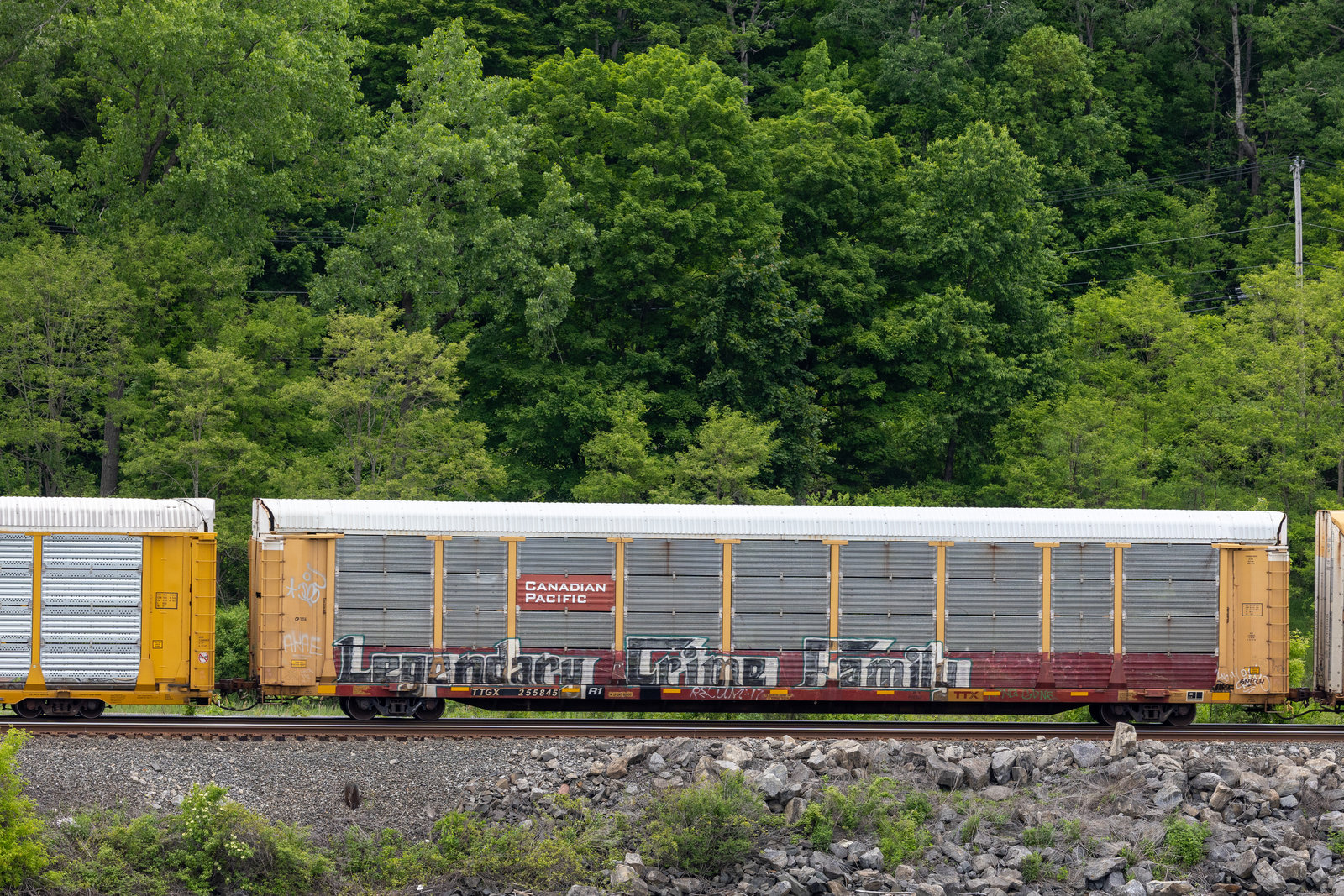 TTGX 255845