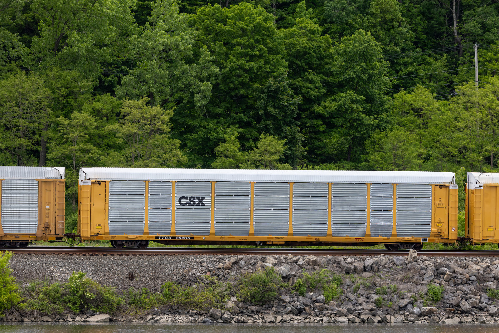 TTGX 254119