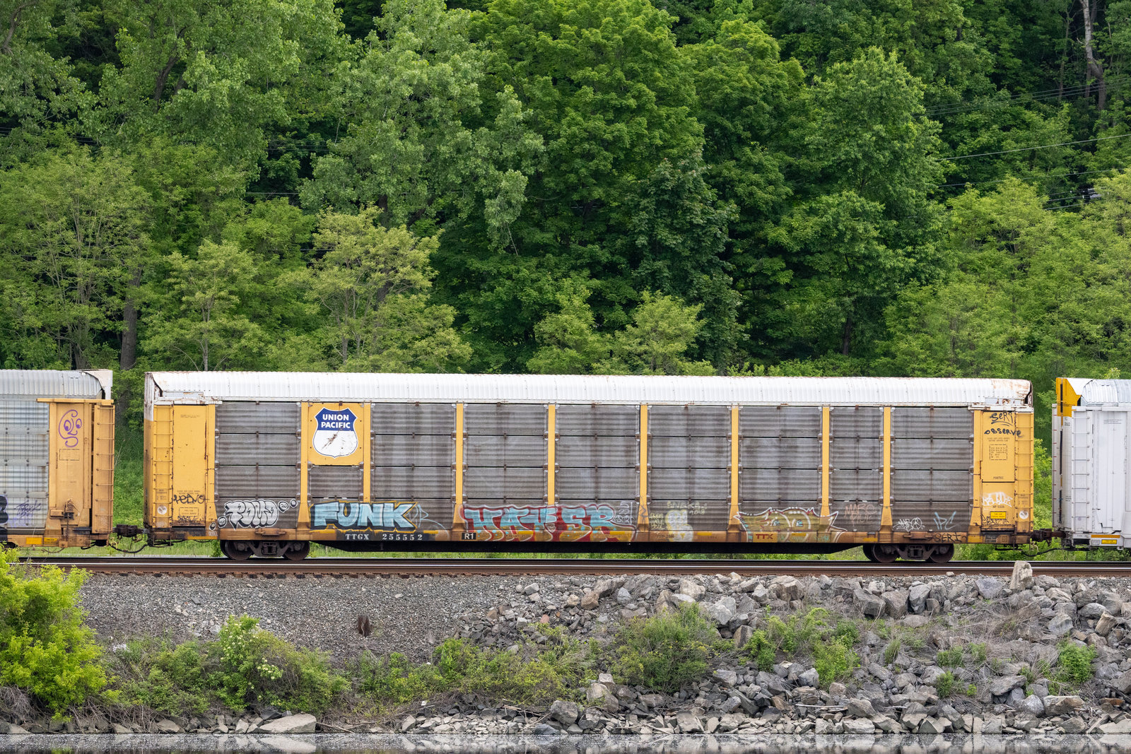 TTGX 255552