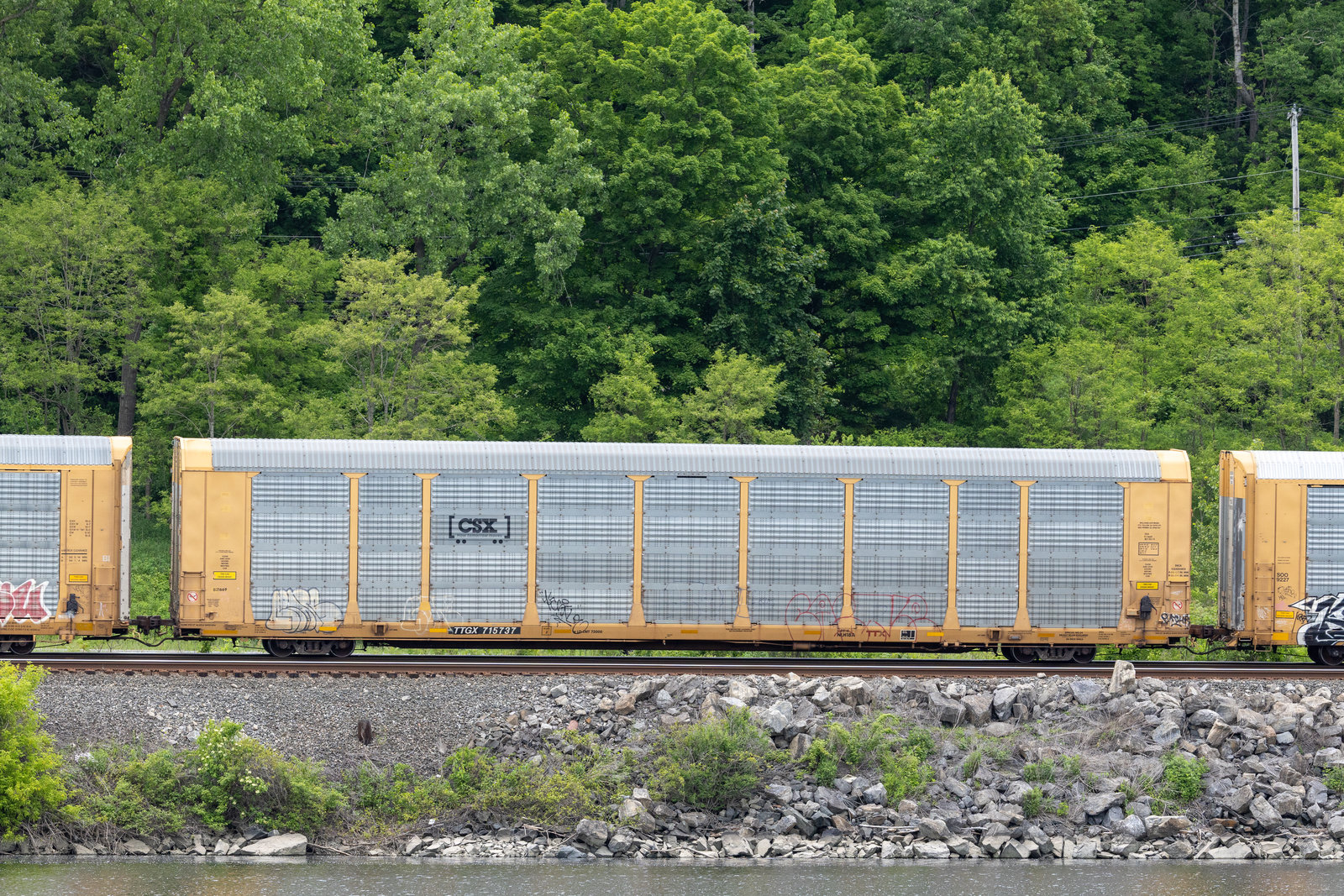 TTGX 715737