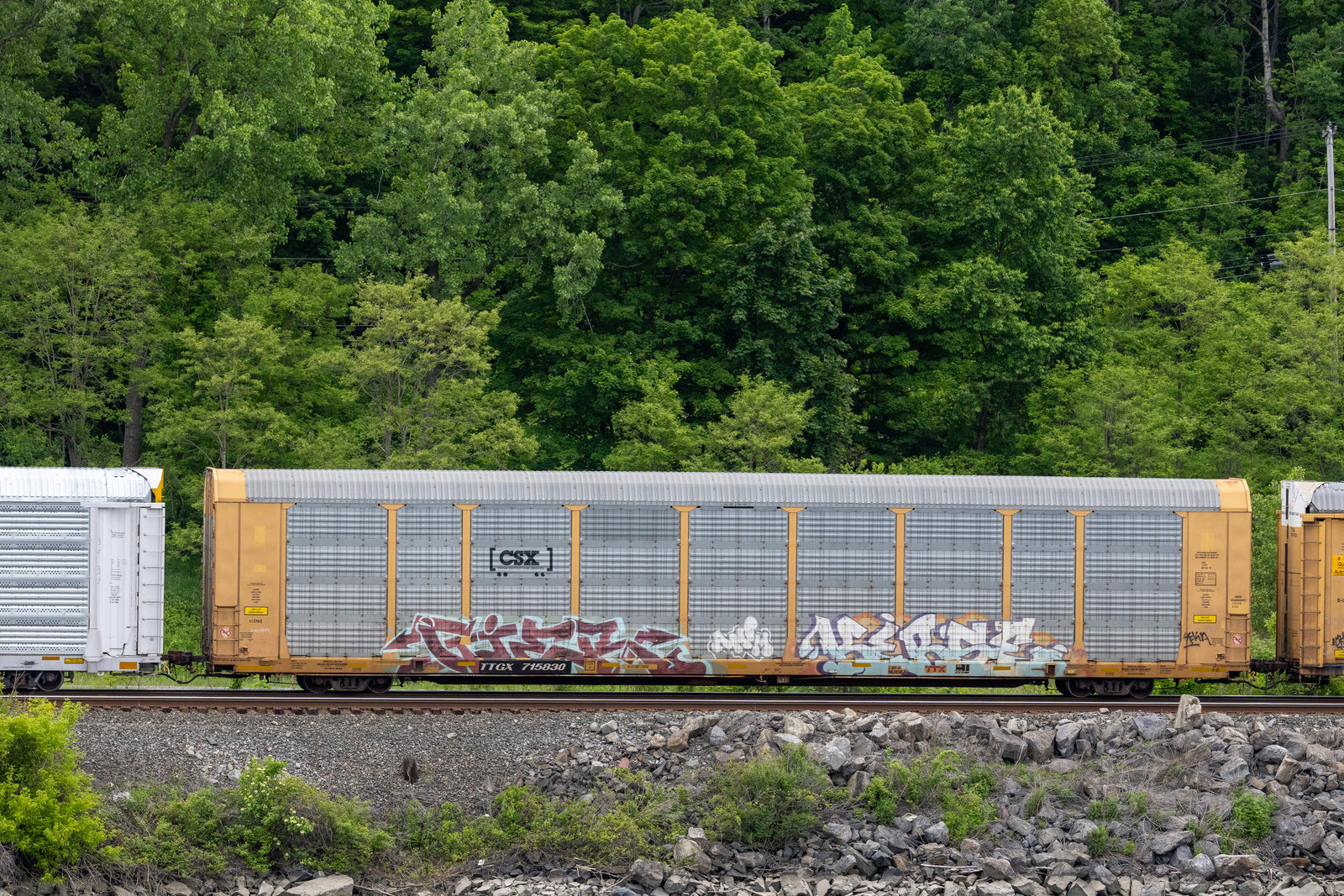 TTGX 715830