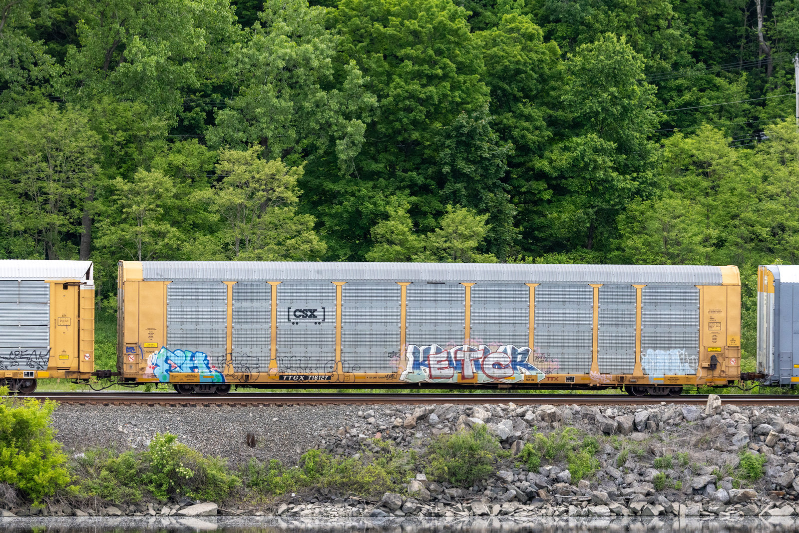 TTGX 716127