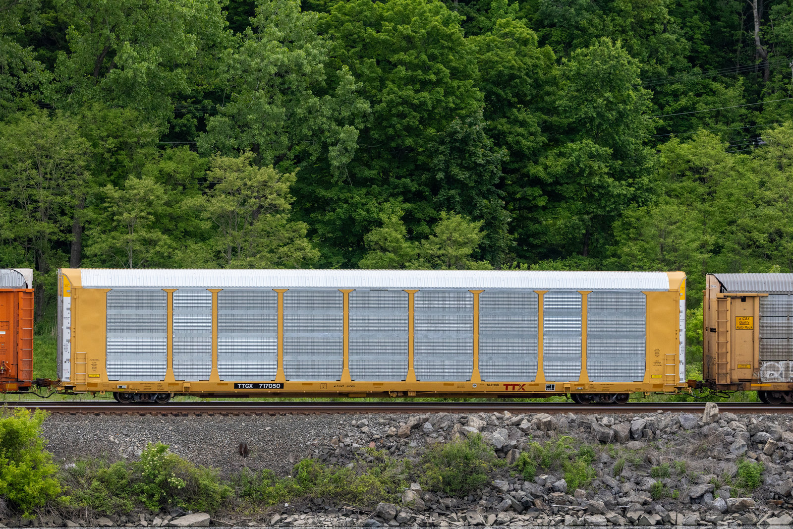 TTGX 717050
