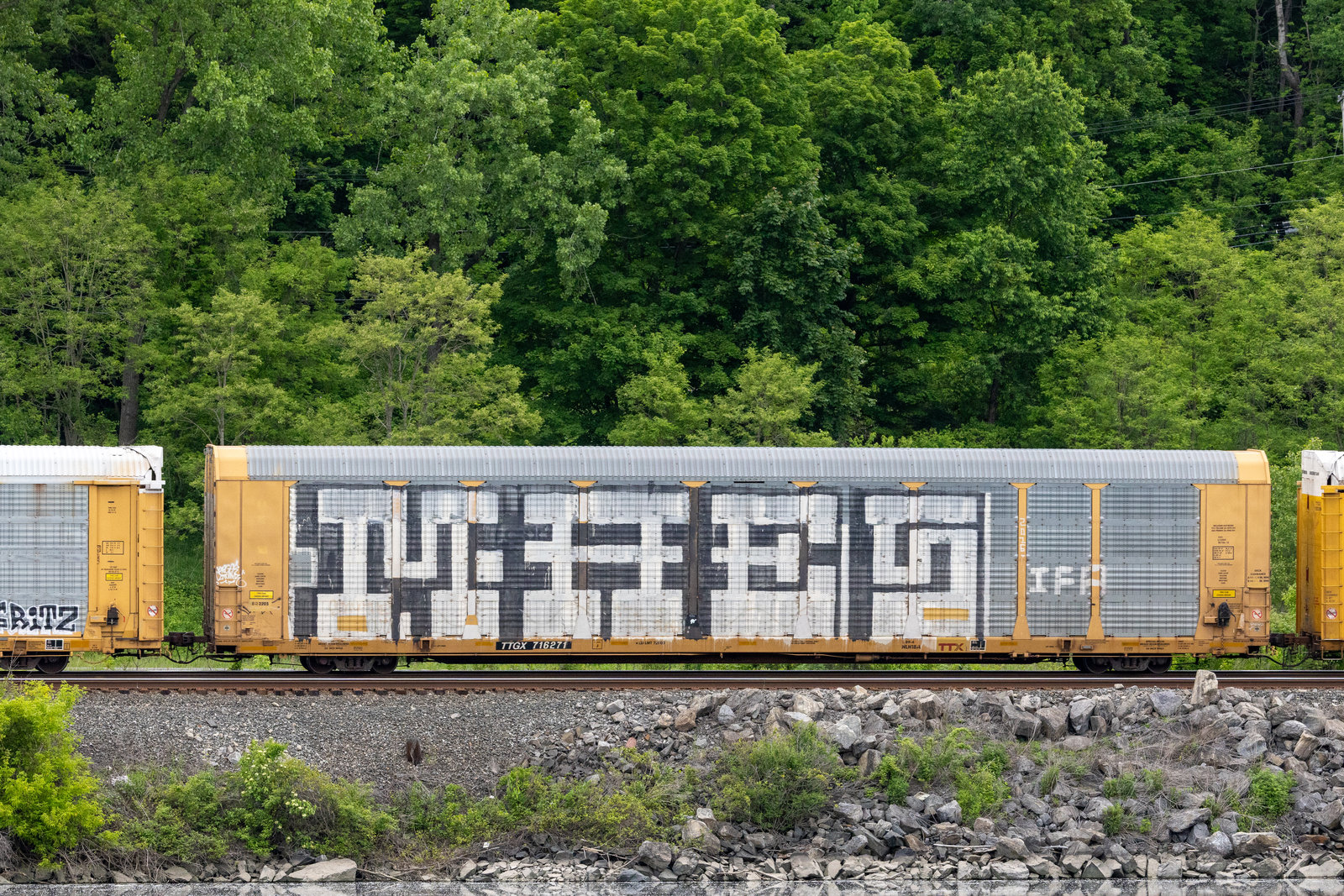 TTGX 716271