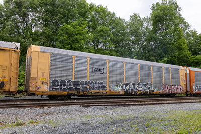 TTGX 715436