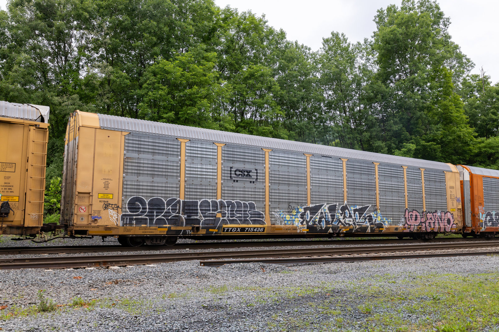 TTGX 715436