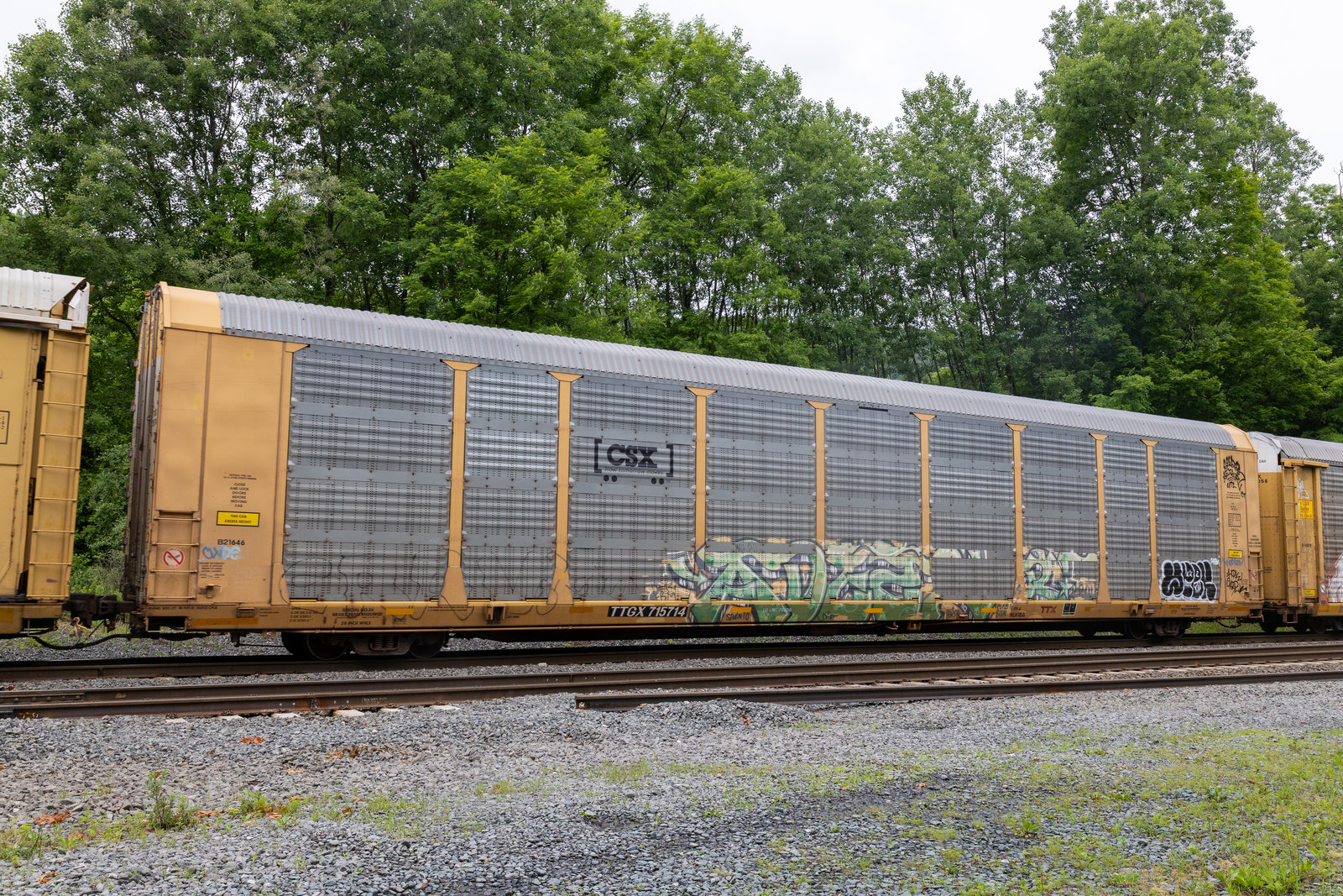 TTGX 715714