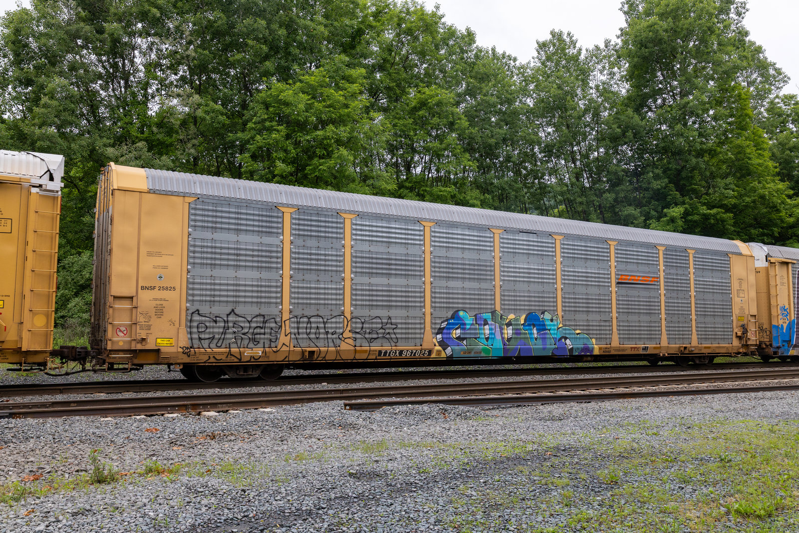 TTGX 967025