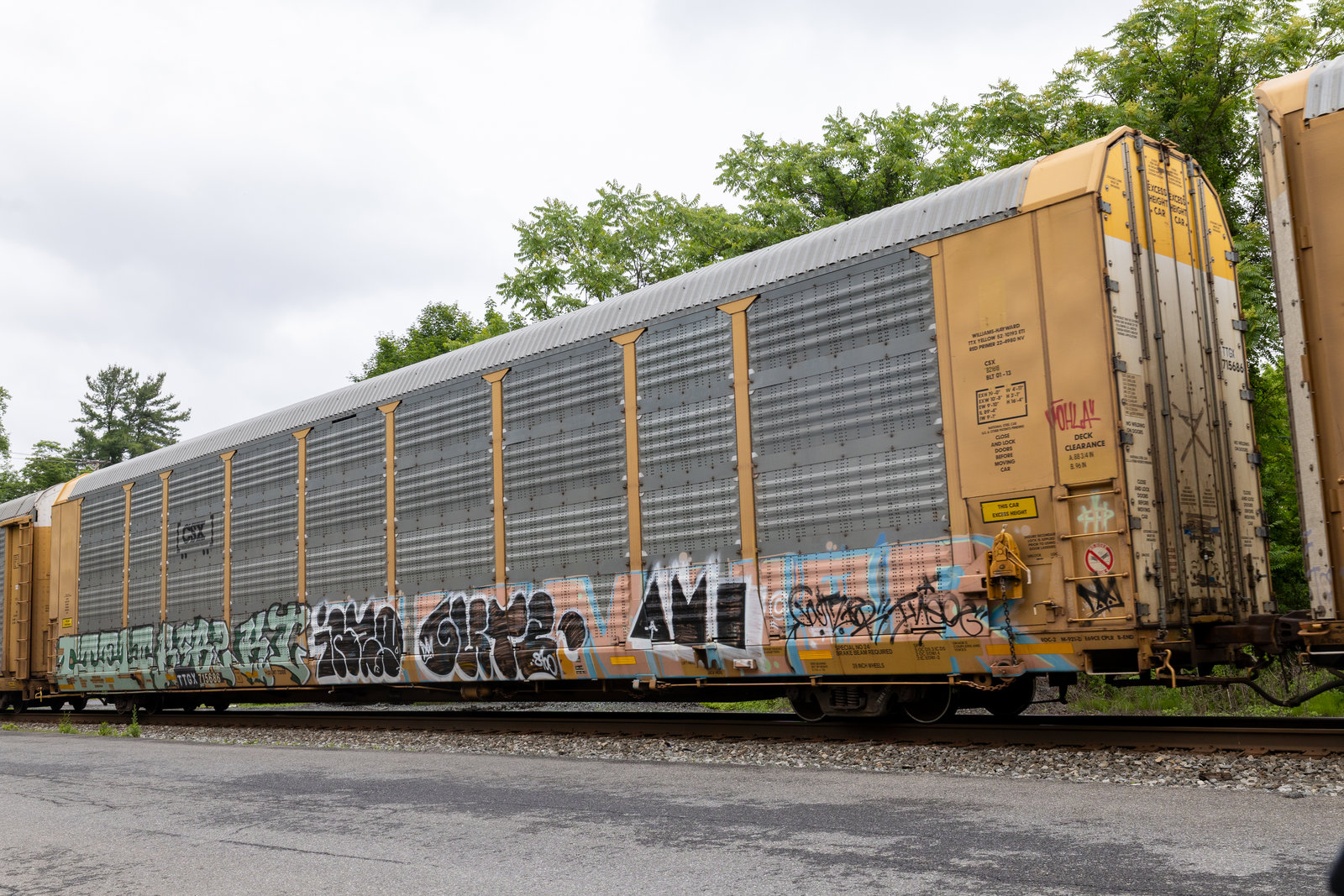 TTGX 715686