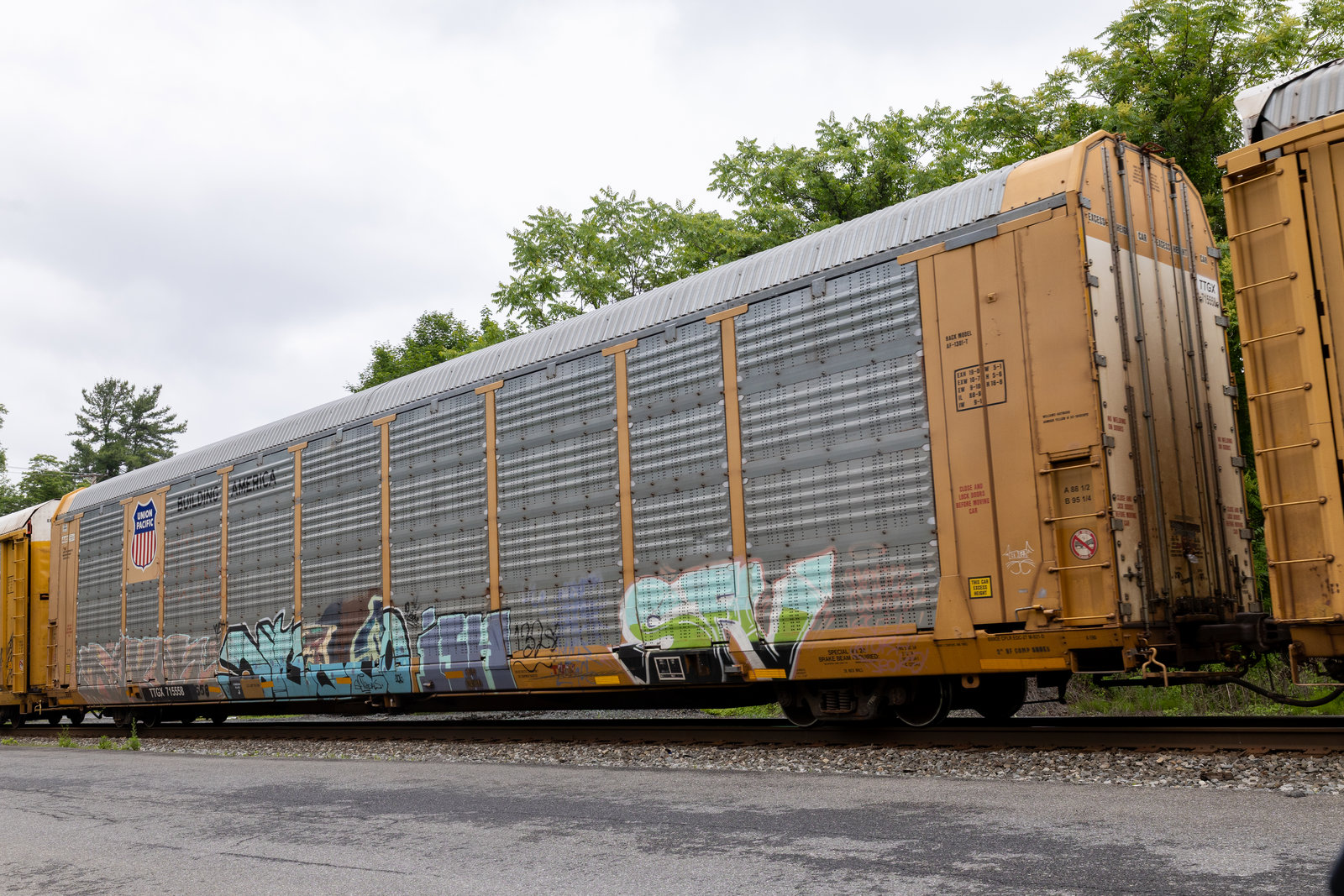 TTGX 715558