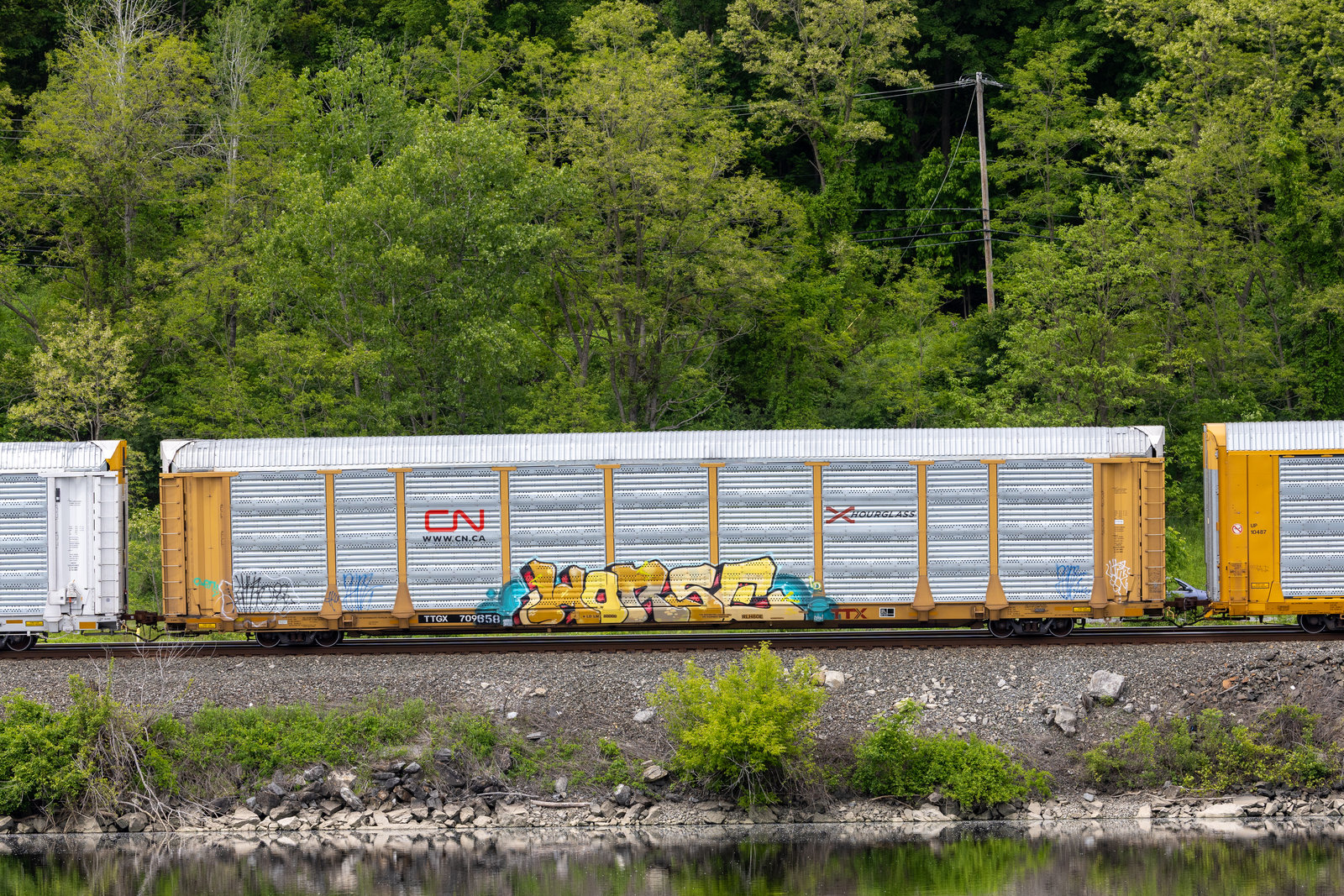 TTGX 709658