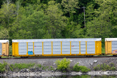 TTGX 709779