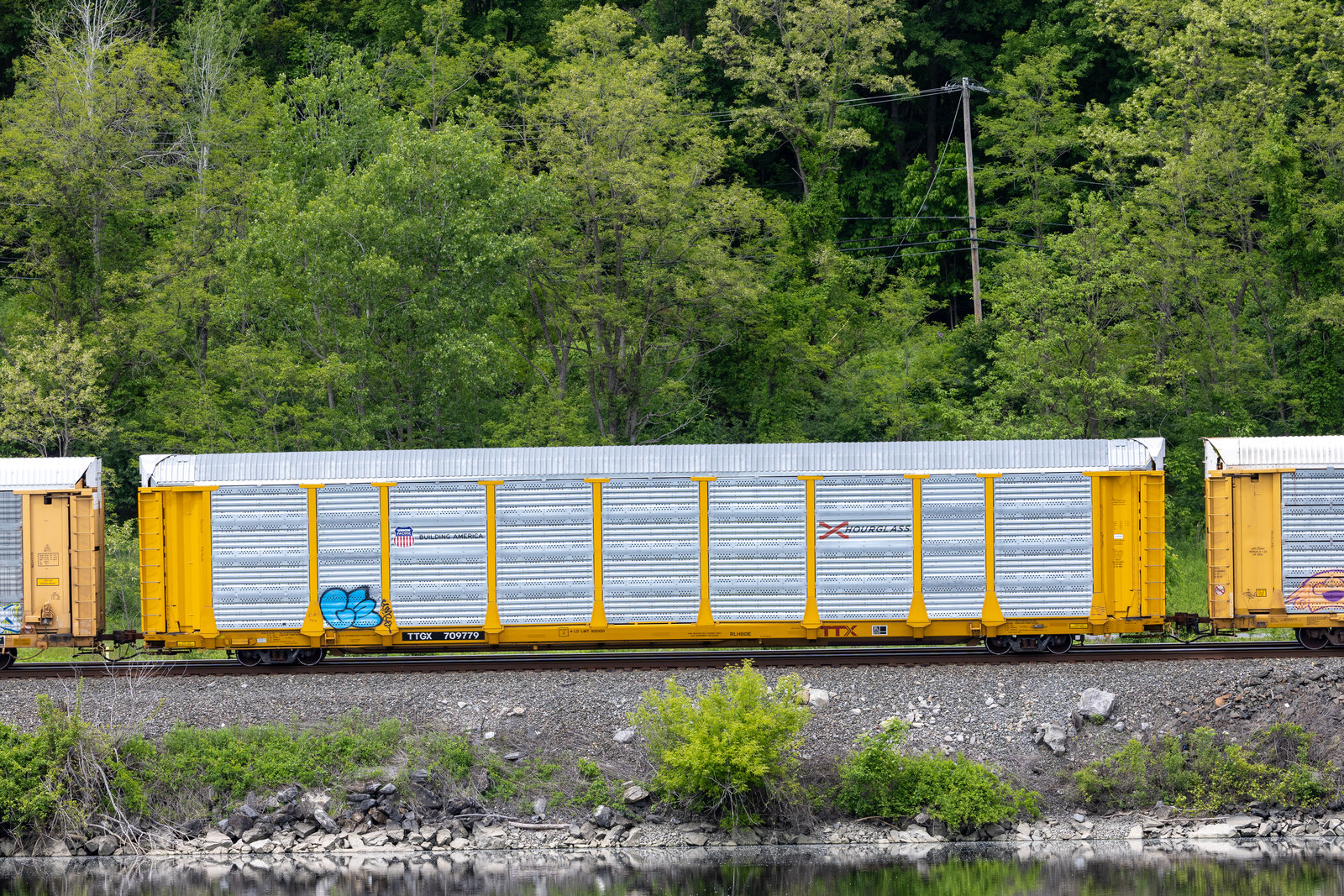 TTGX 709779