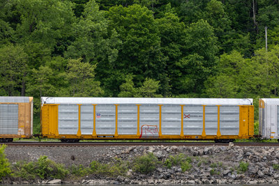 TTGX 835395