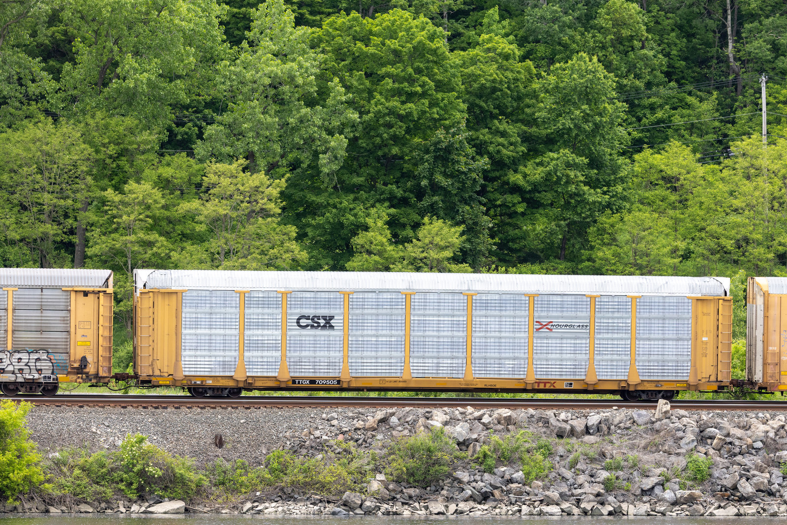 TTGX 709505