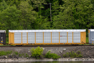 TTGX 835991