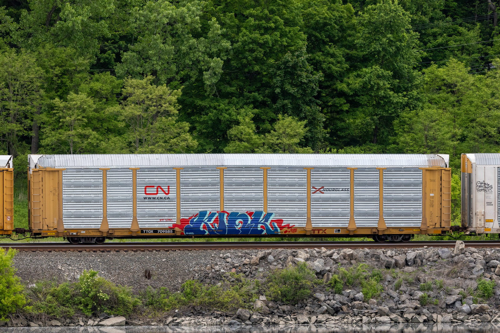 TTGX 709585