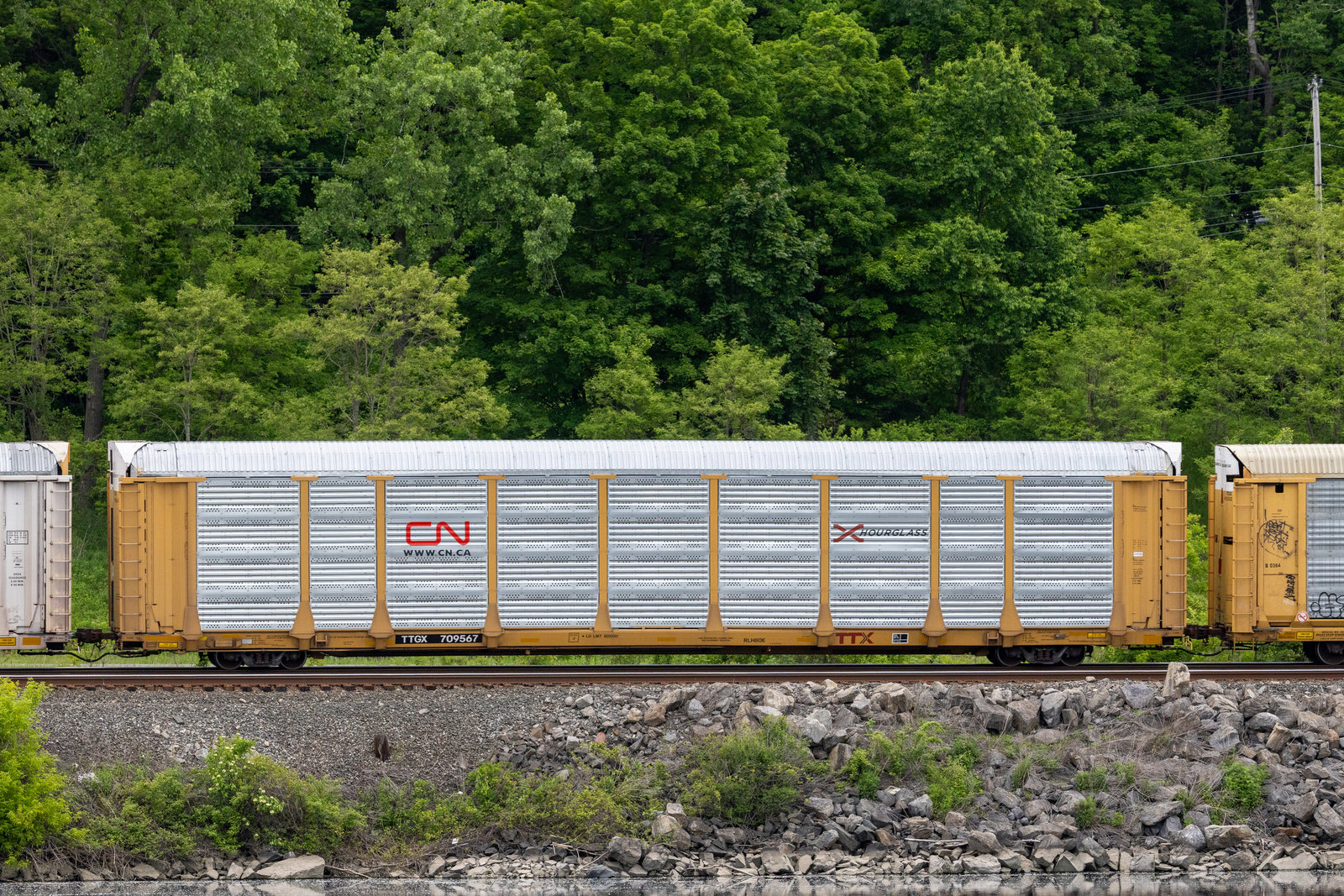 TTGX 709567