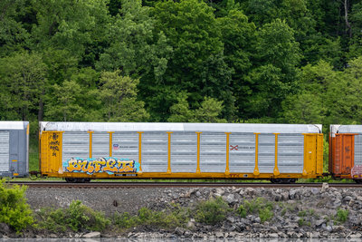 TTGX 835188