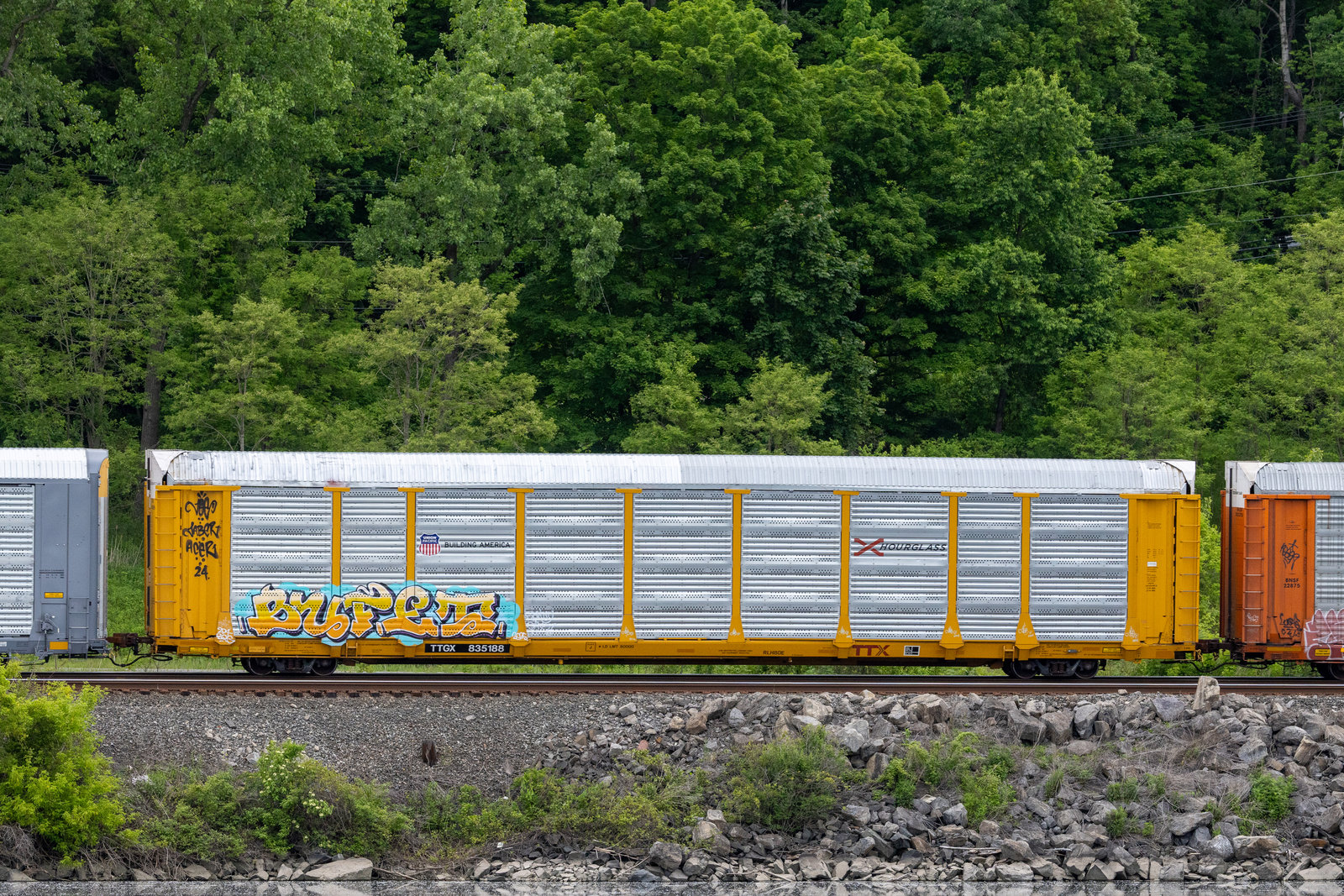 TTGX 835188