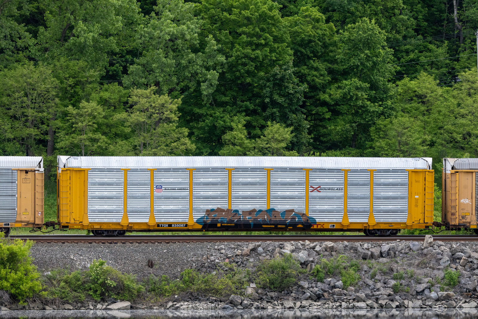 TTGX 835087