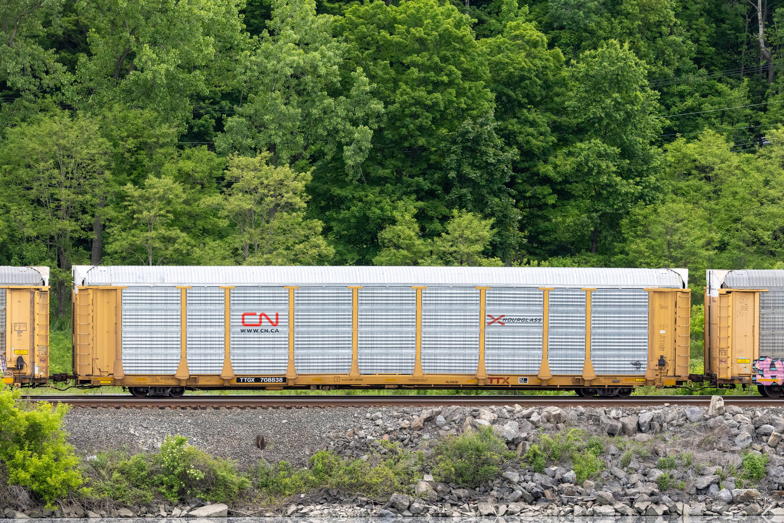 TTGX 708838