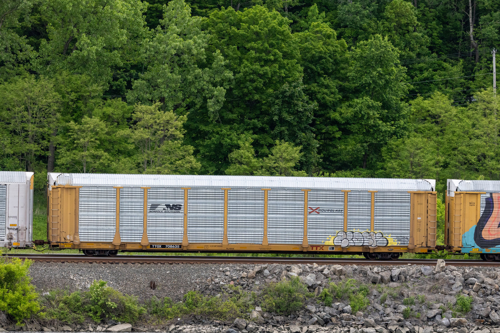 TTGX 708635