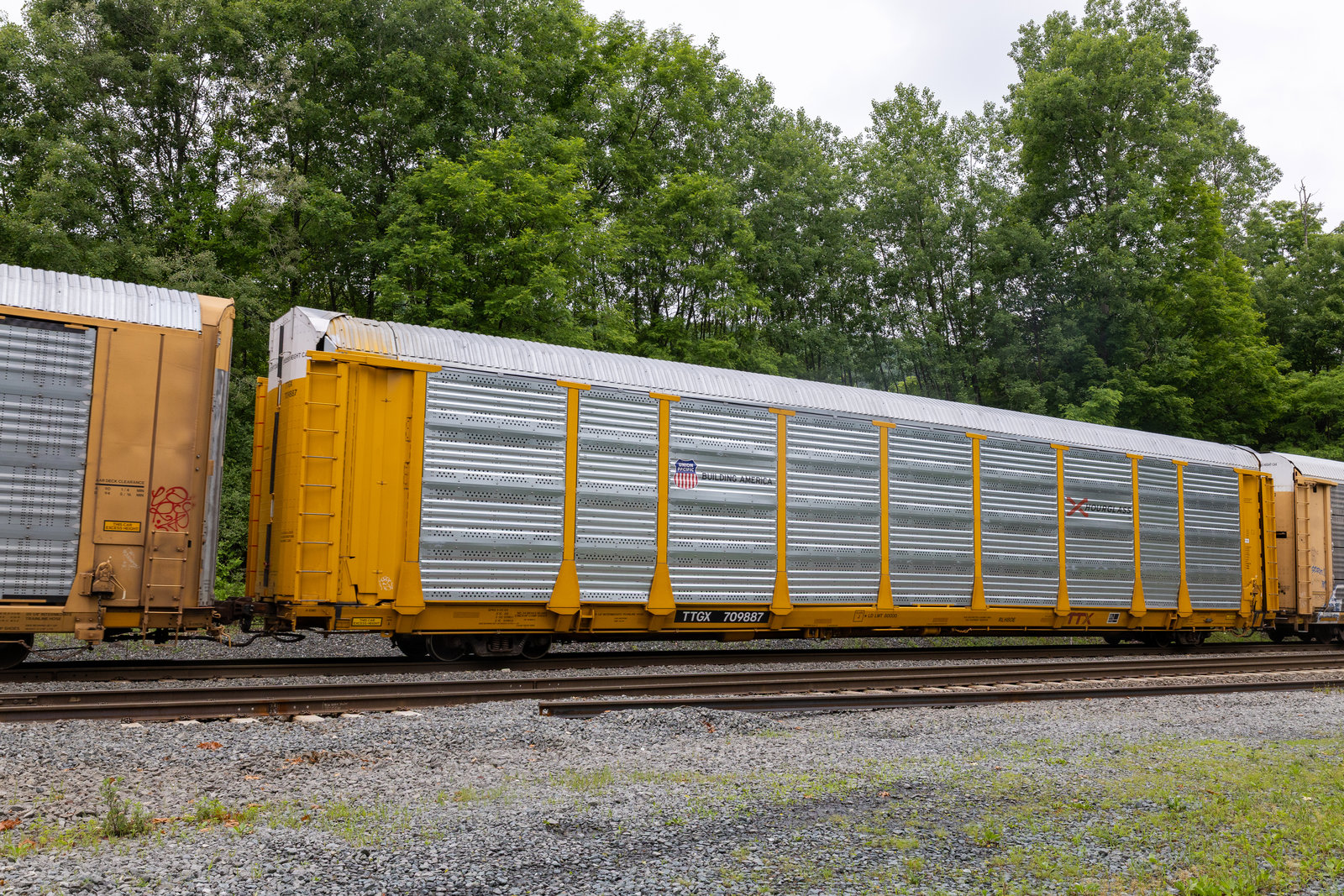 TTGX 709887