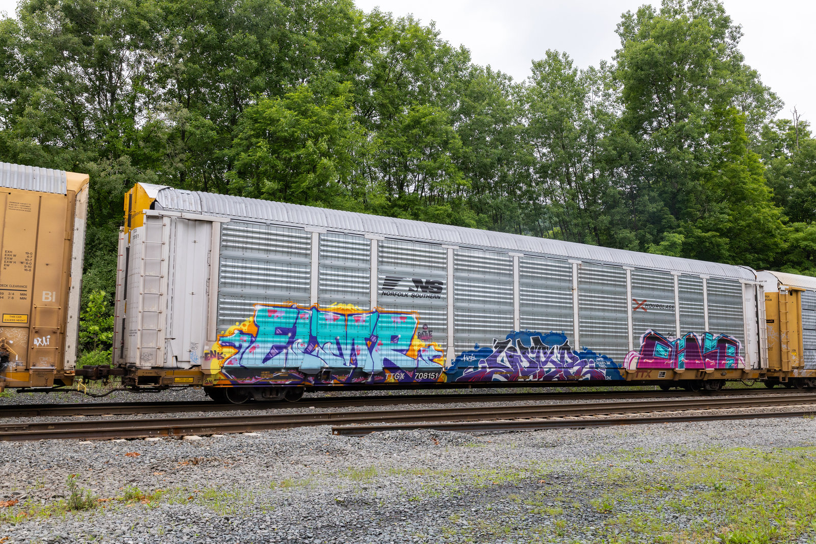 TTGX 708151