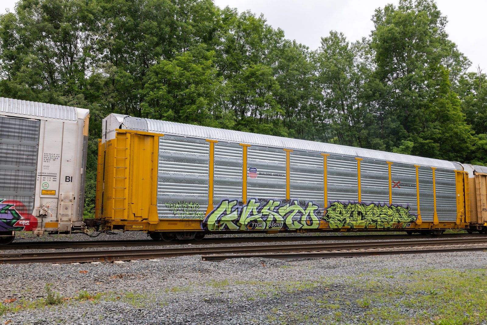 TTGX 835113