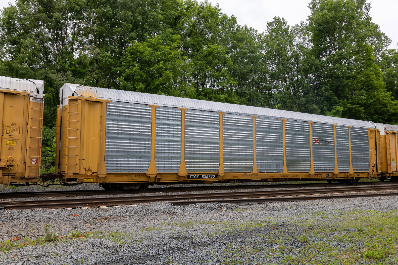 TTGX 835730