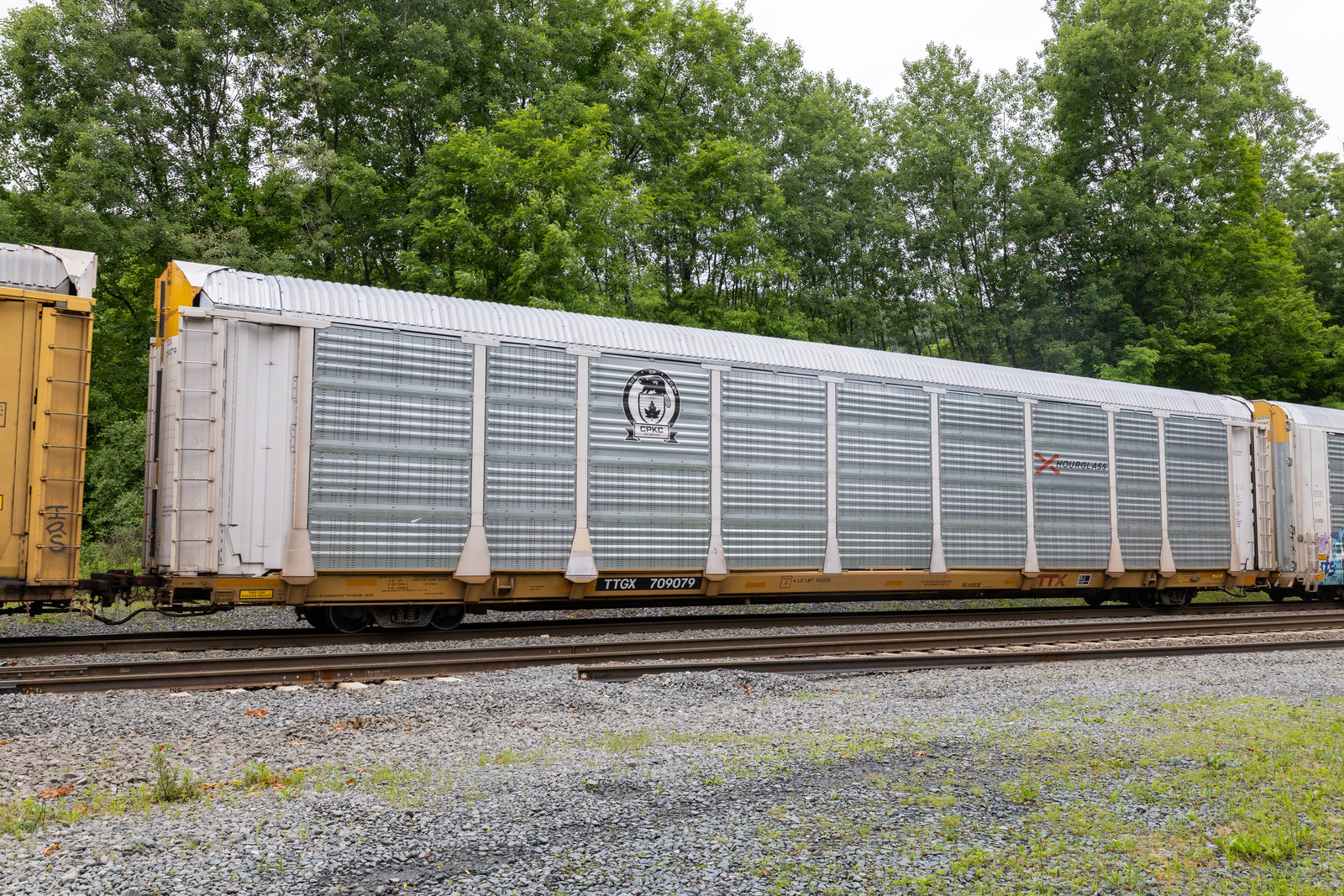 TTGX 709079