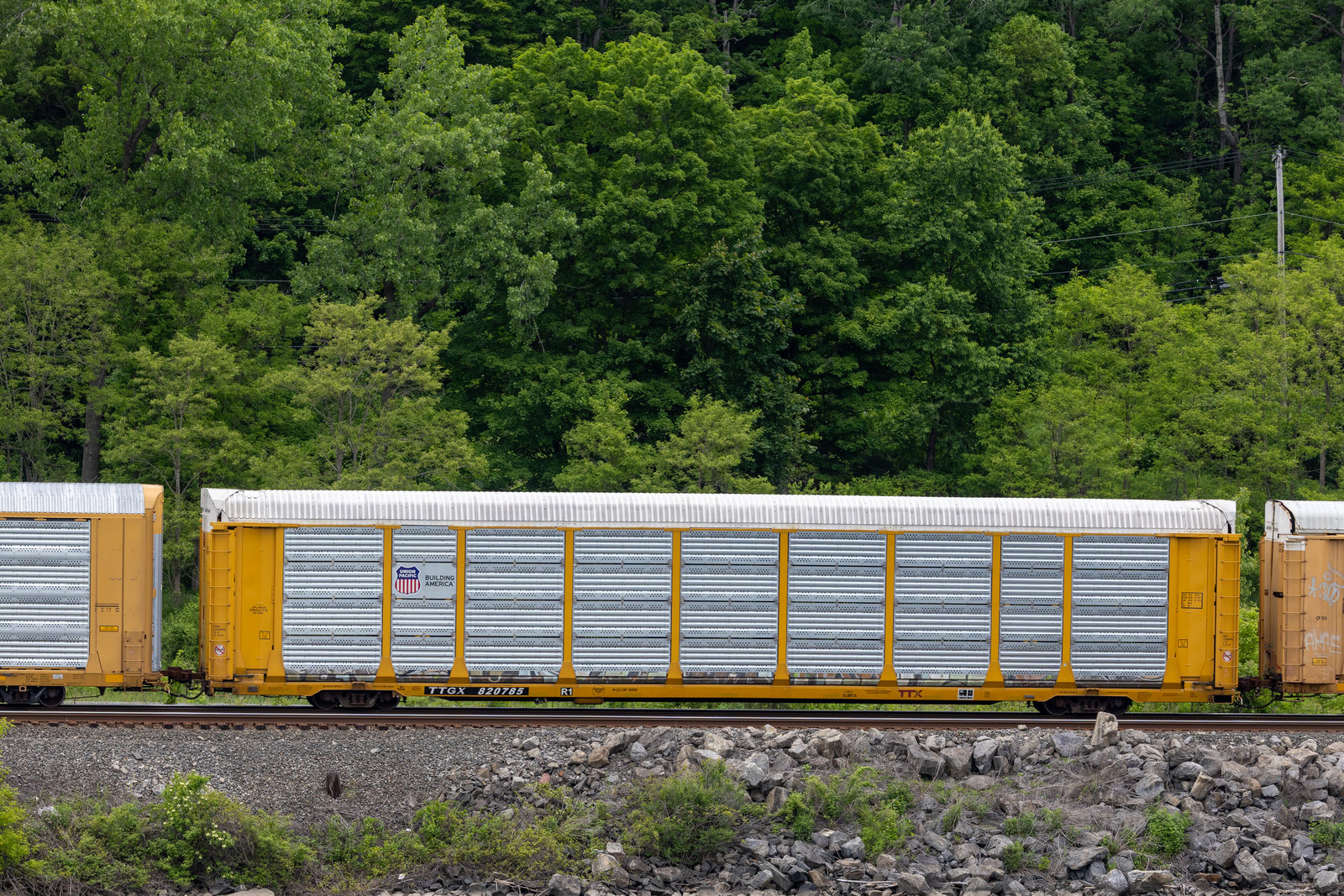 TTGX 820785