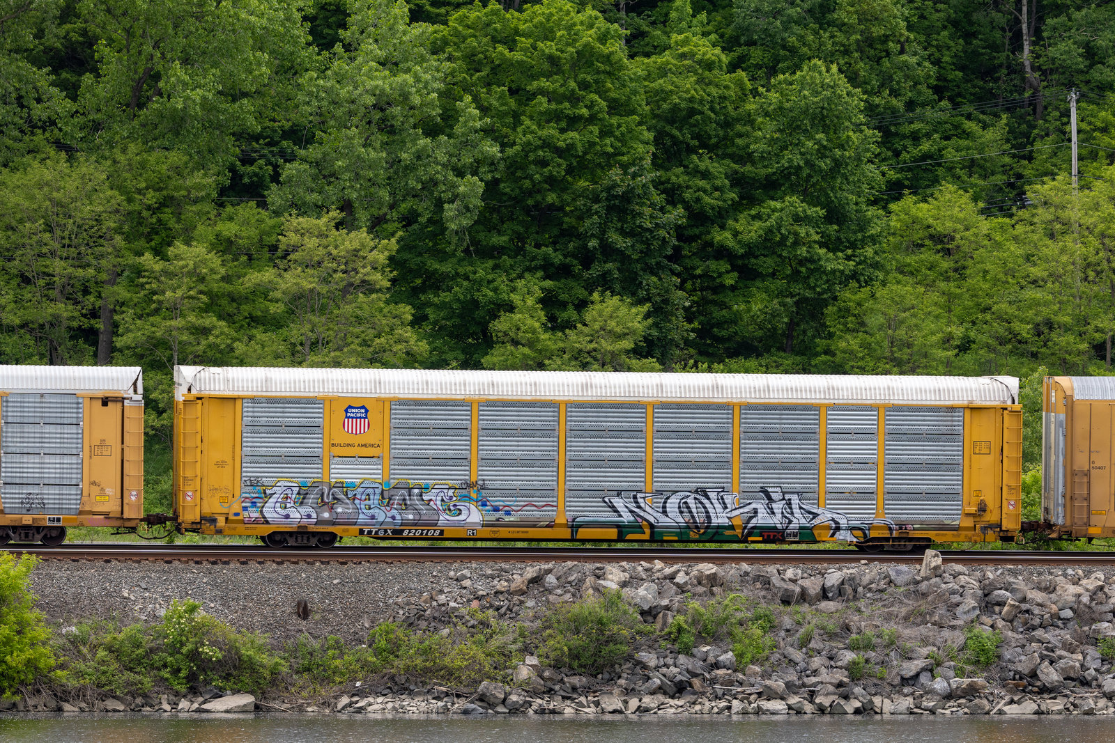 TTGX 820108