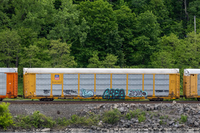 TTGX 851734