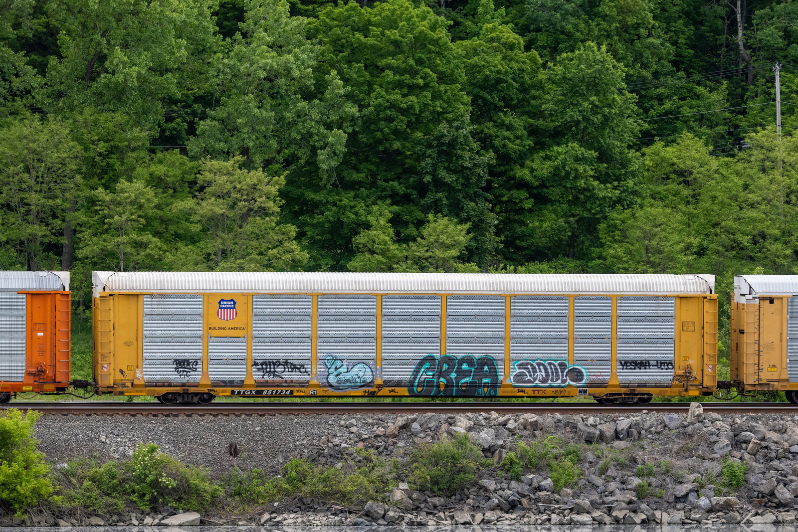 TTGX 851734
