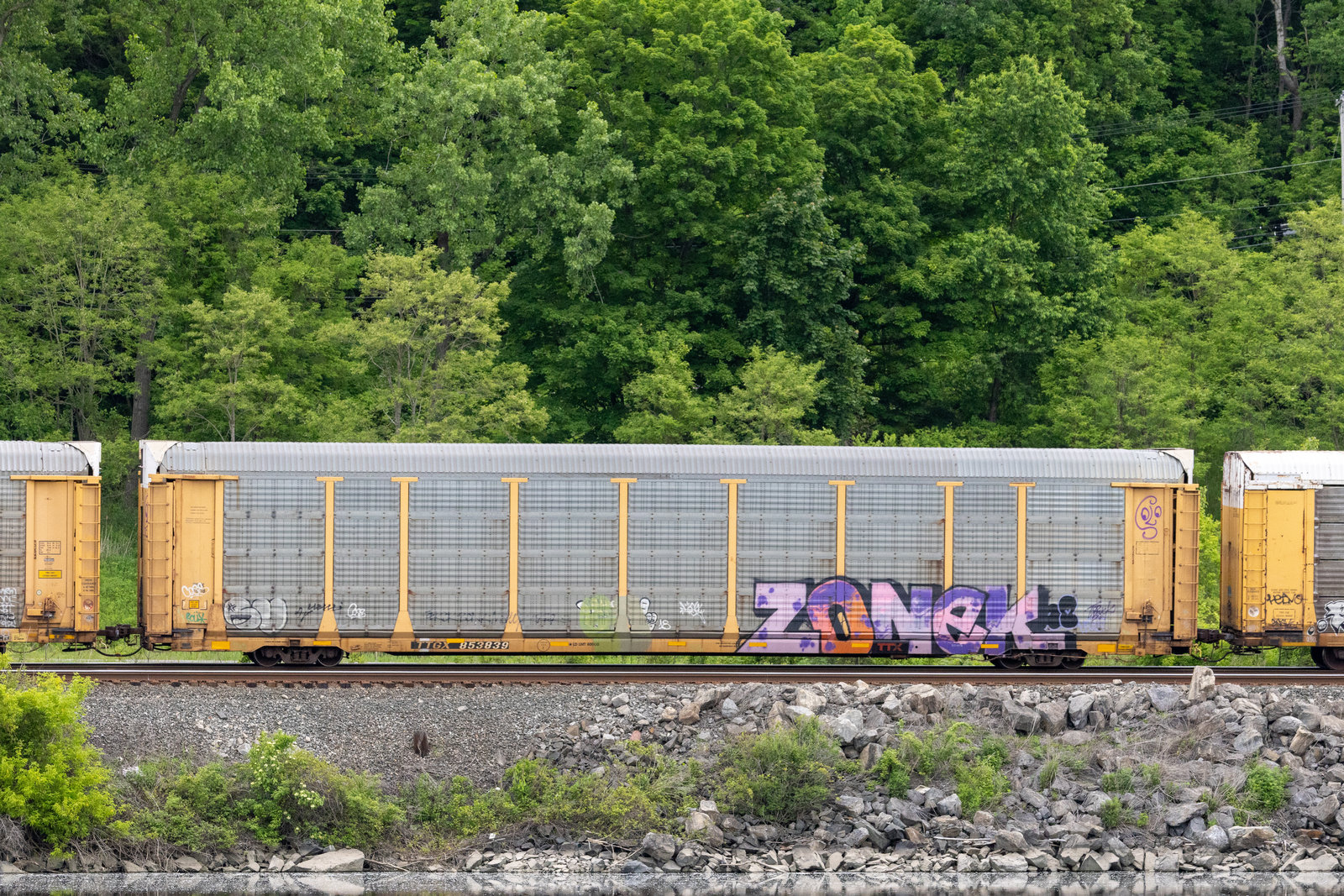 TTGX 853839
