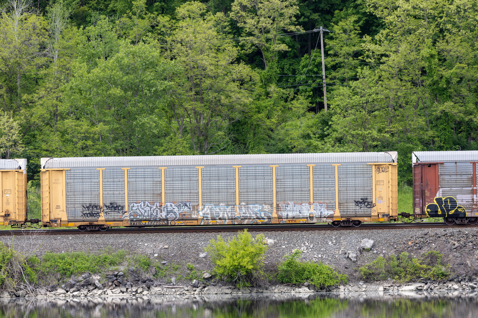 TTGX 852605