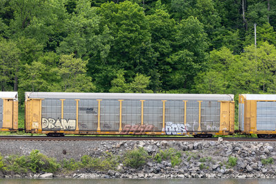 TTGX 853465