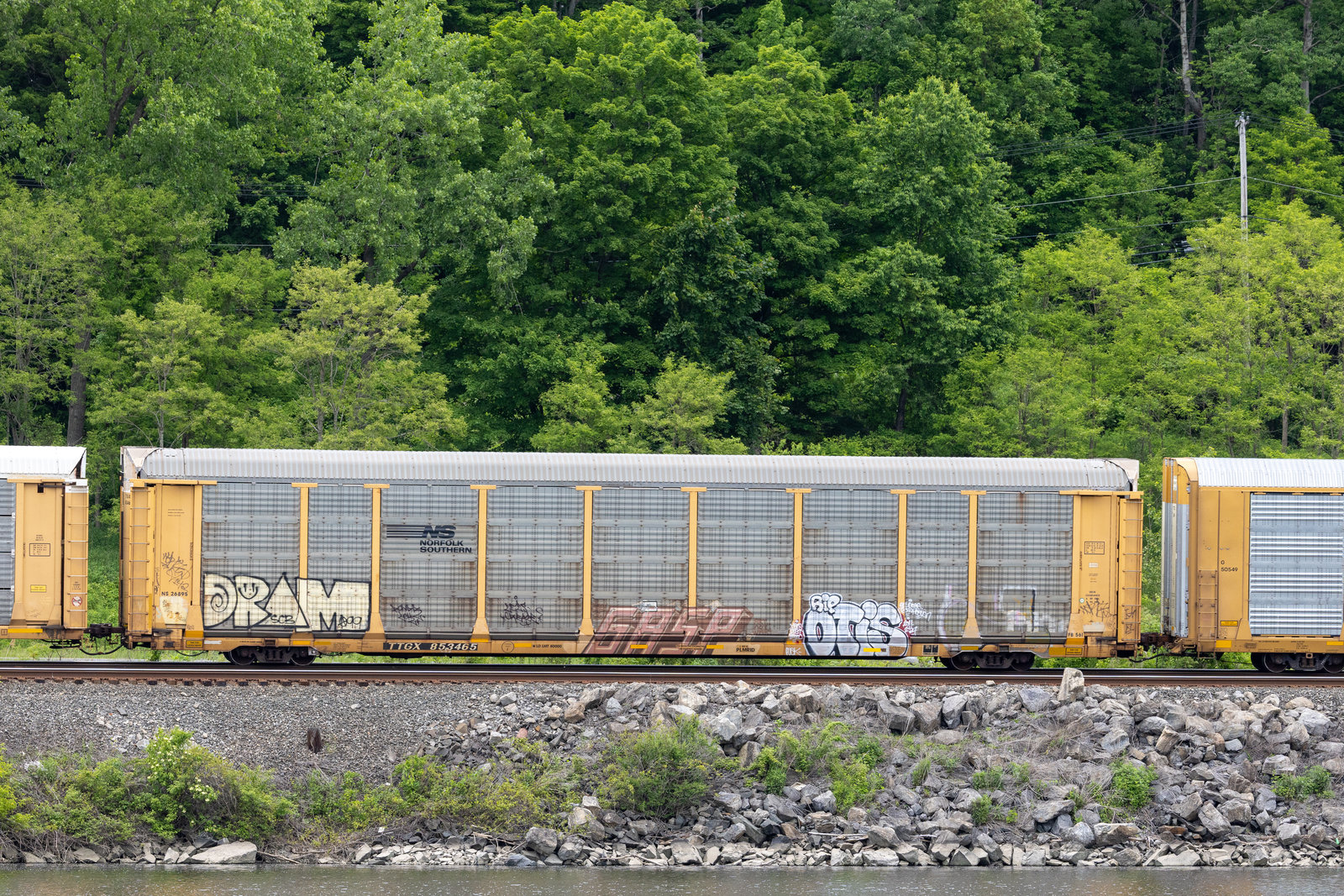 TTGX 853465