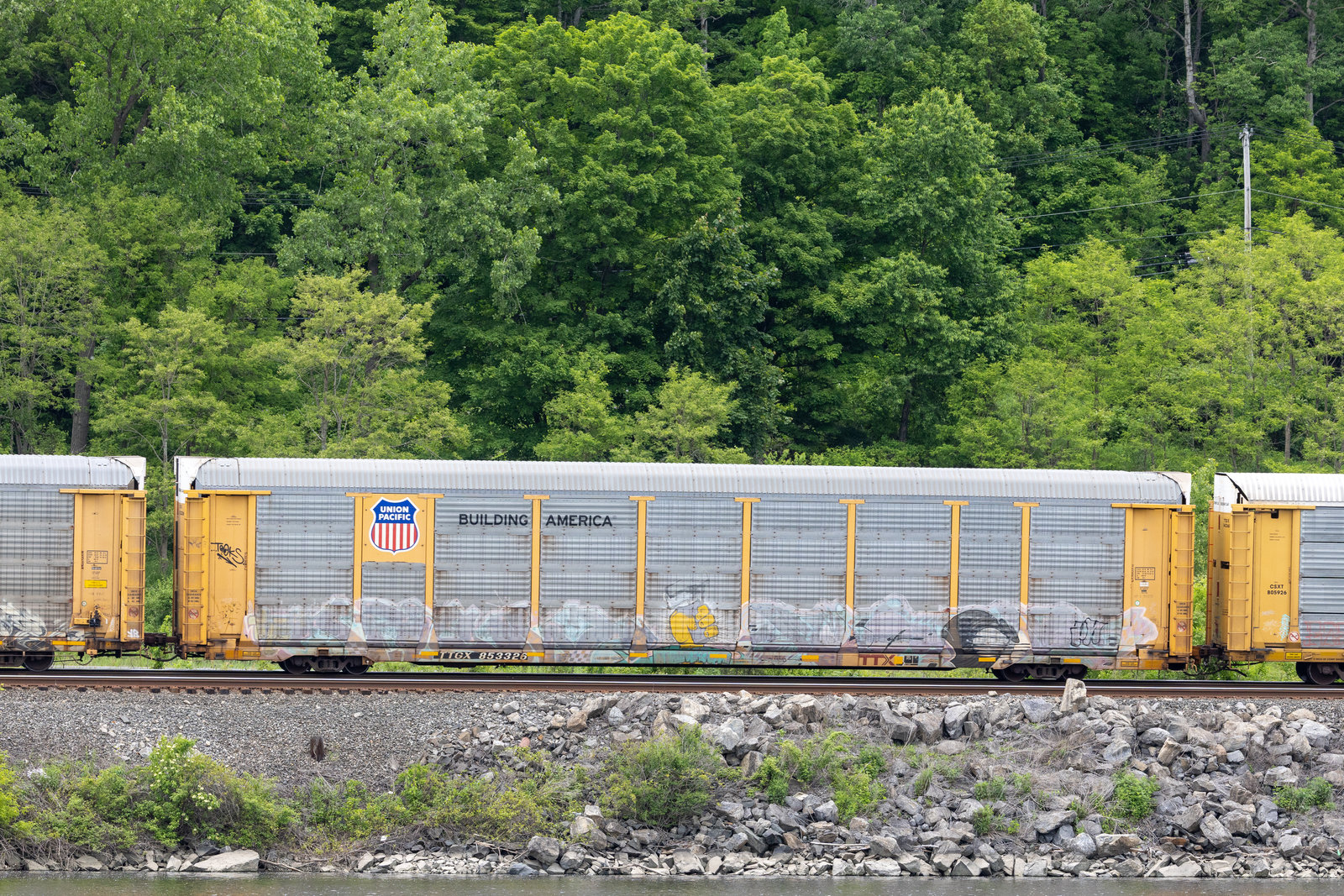 TTGX 853326
