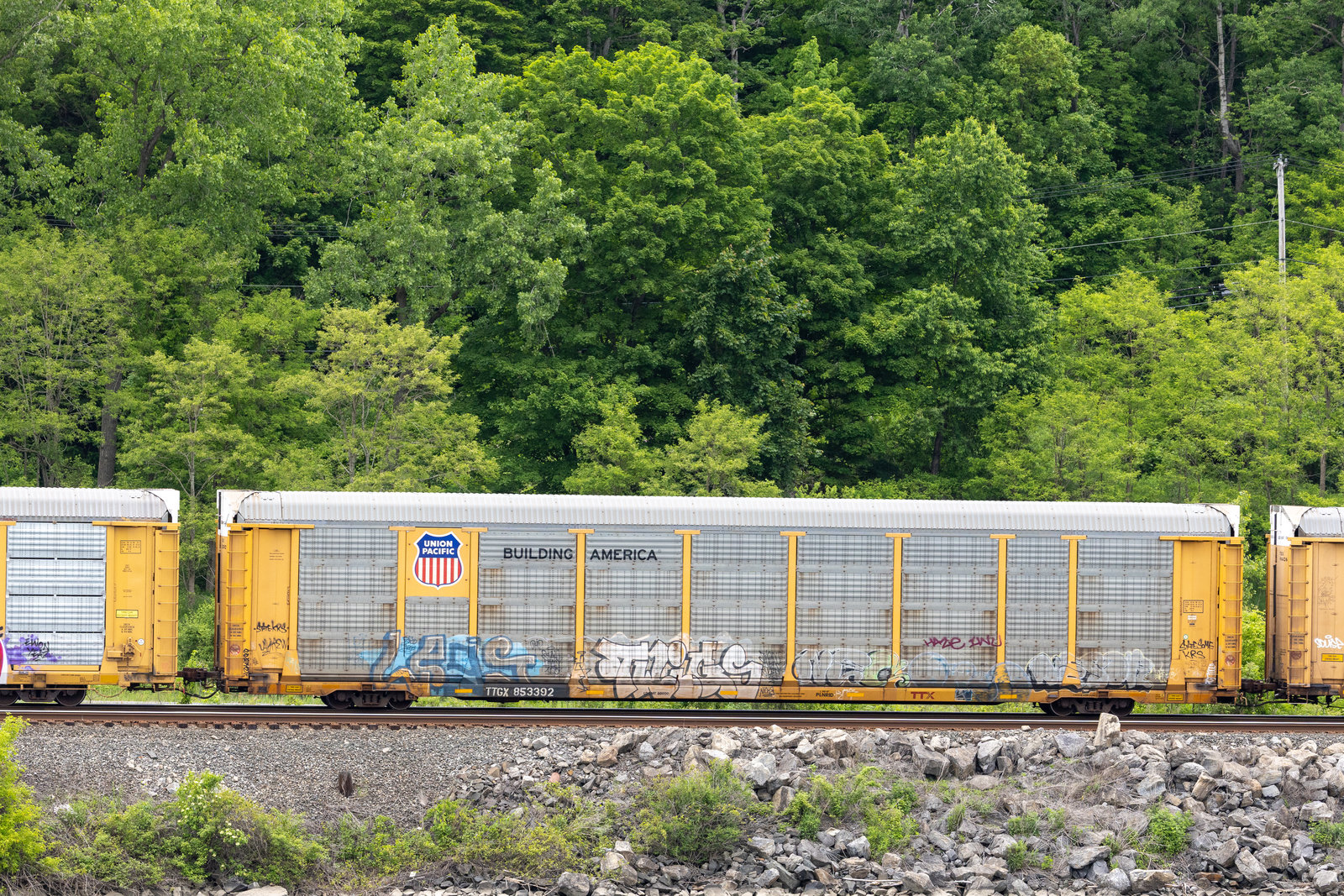 TTGX 853392