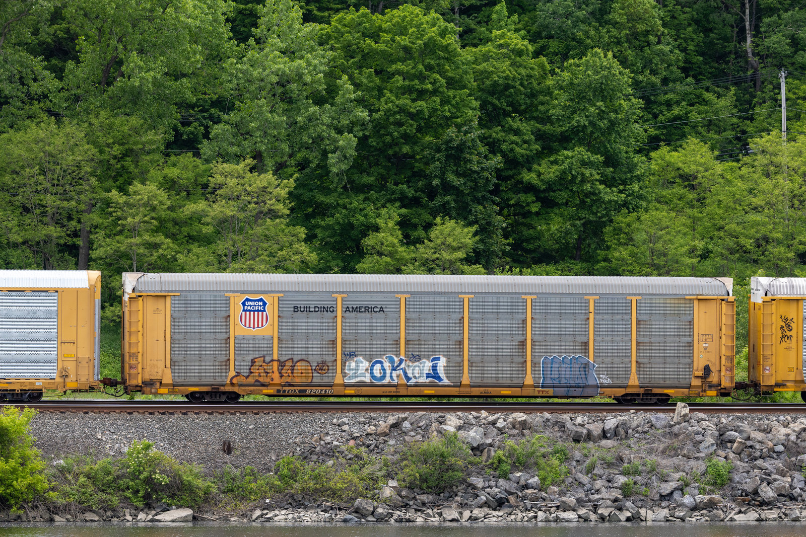 TTGX 820410