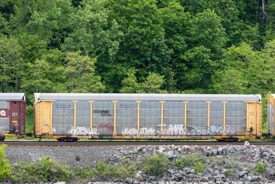 TTGX 851674