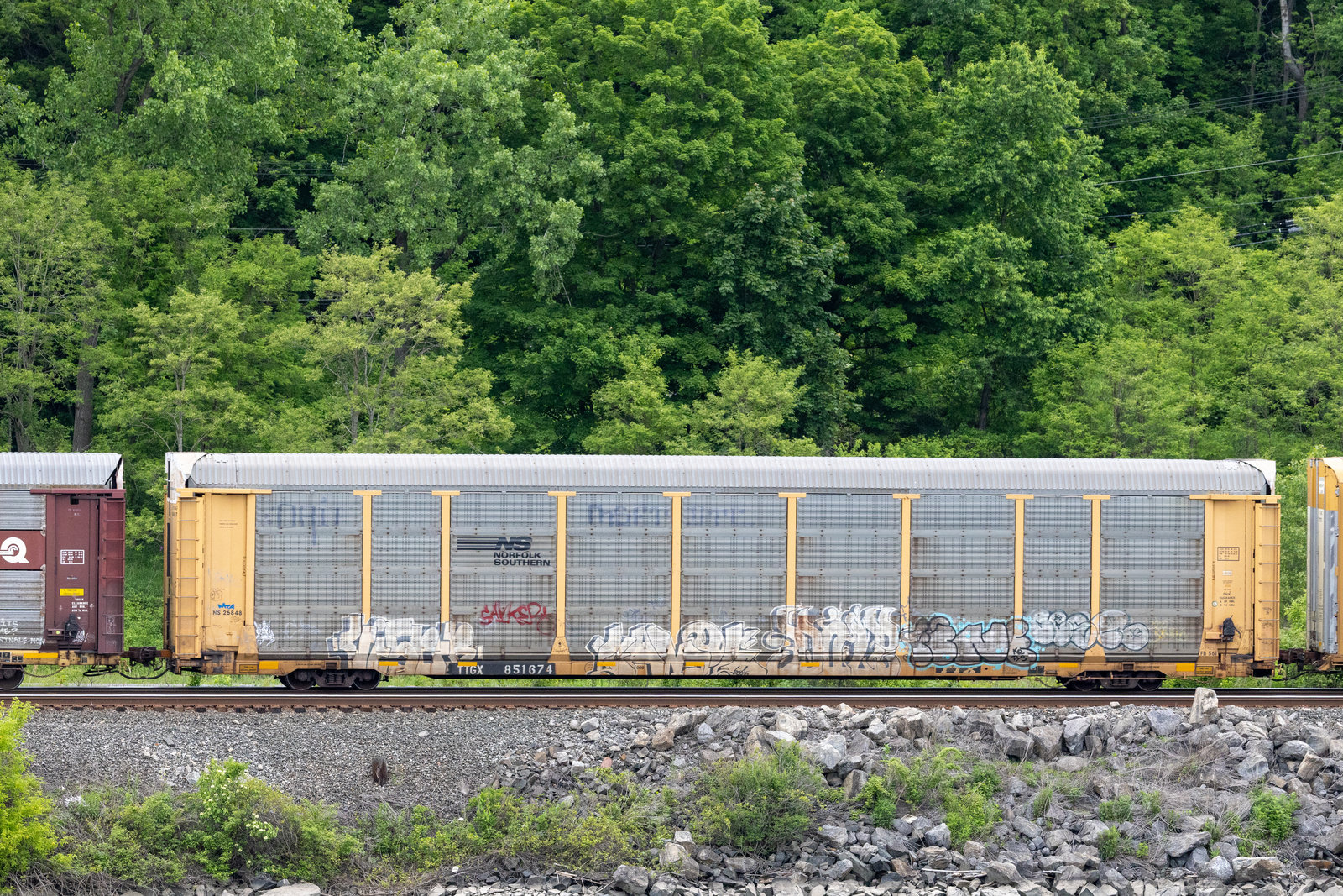 TTGX 851674
