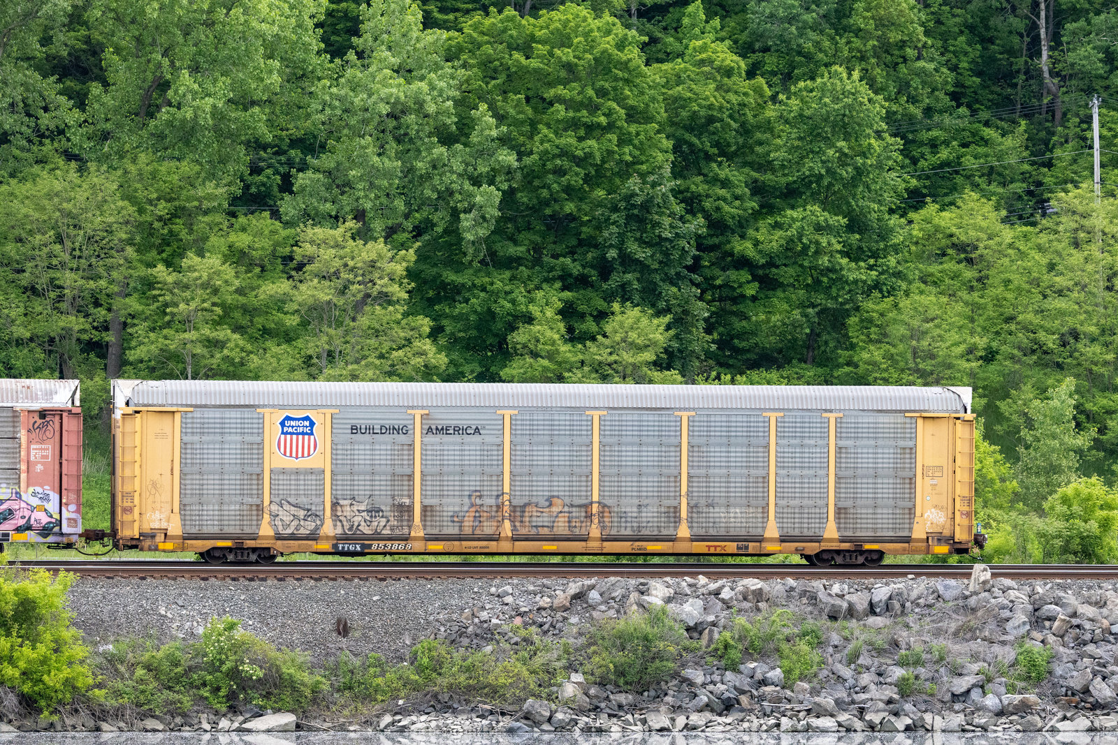 TTGX 853868